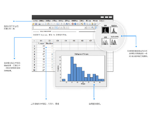 MINITAB质量统计分析软件